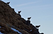 Valle e Passo di Salmurano con canalino per il Benigni in invernale-primaverile il 22 marzo 2019 - FOTOGALLERY